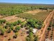 Photo - 605 Mocatto Road, Acacia Hills NT 0822 - Image 17