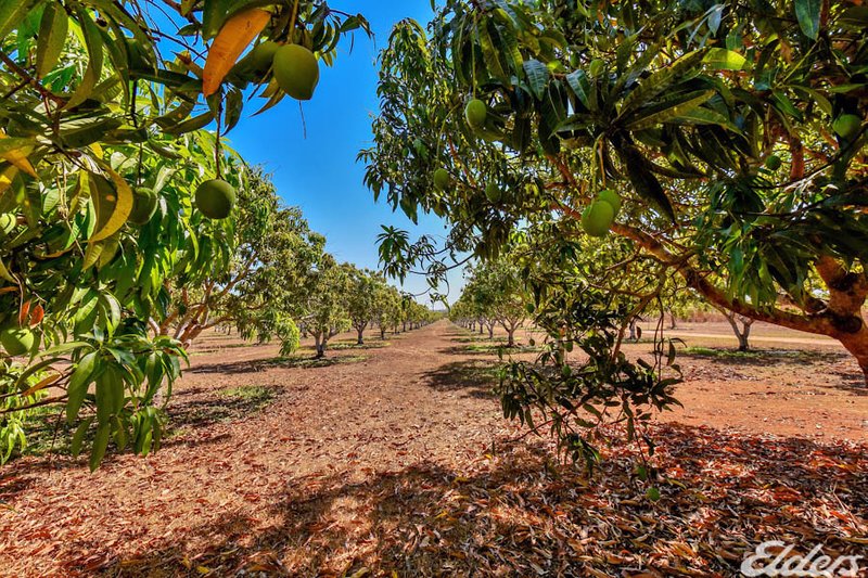 Photo - 605 Mocatto Road, Acacia Hills NT 0822 - Image 25