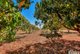 Photo - 605 Mocatto Road, Acacia Hills NT 0822 - Image 25