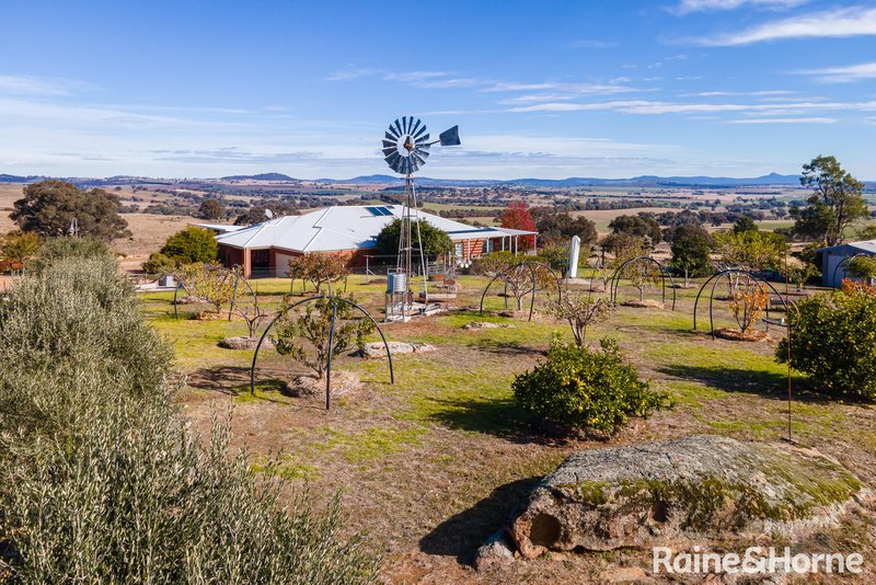 6054 Holbrook Road, Maxwell NSW 2650