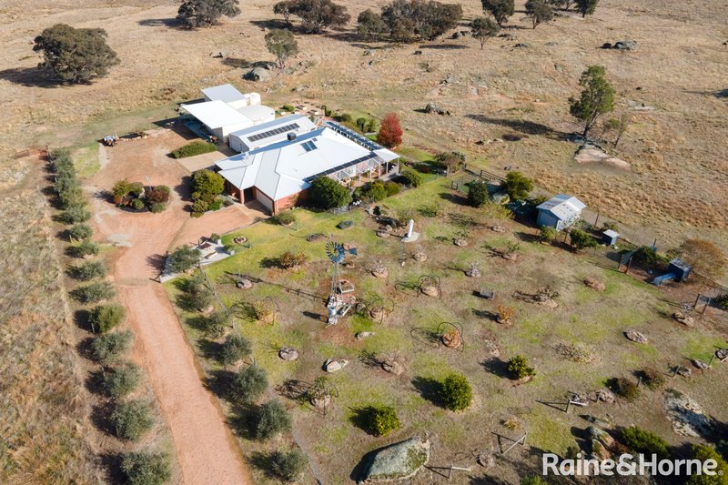 Photo - 6054 Holbrook Road, Maxwell NSW 2650 - Image 21