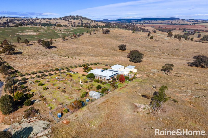 Photo - 6054 Holbrook Road, Maxwell NSW 2650 - Image 24