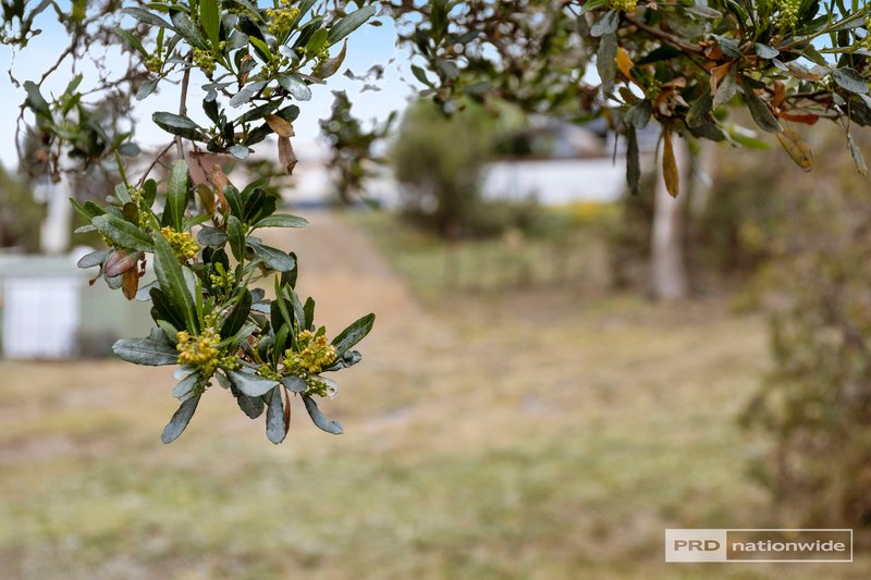 Photo - 607 Primrose Sands Road, Primrose Sands TAS 7173 - Image 4