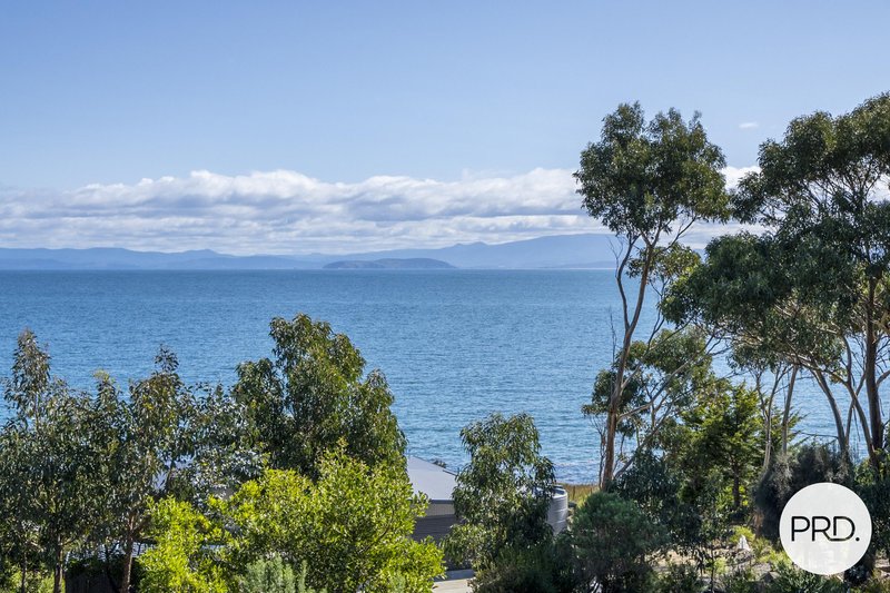 Photo - 607 White Beach Road, White Beach TAS 7184 - Image 4