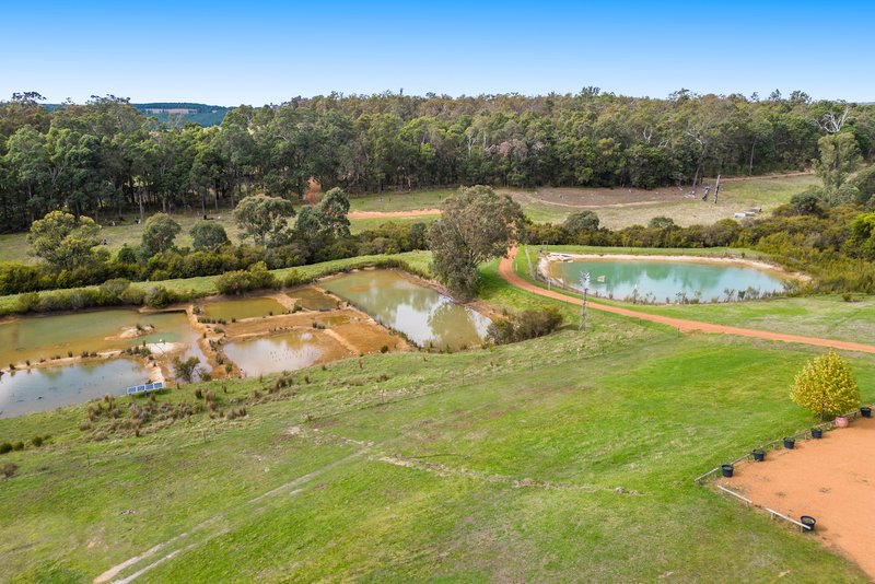 Photo - 6088 Vasse Highway, Nannup WA 6275 - Image 28