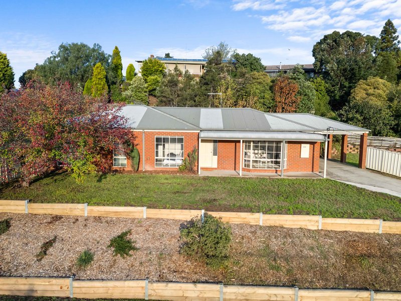 Photo - 609 Humffray Street South, Golden Point VIC 3350 - Image 24