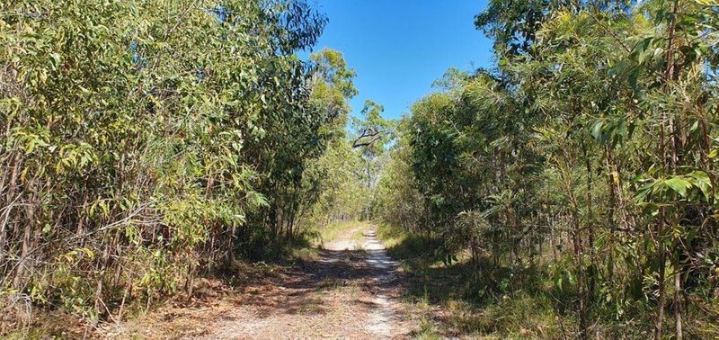 Photo - 609 Matchbox Road, Deepwater QLD 4674 - Image 23