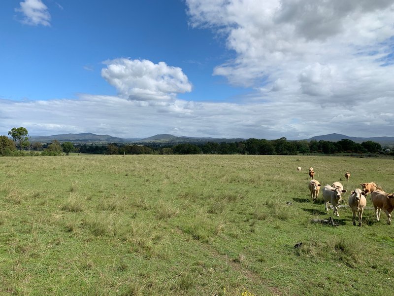 6097 Mount Lindesay Hwy , Woodhill QLD 4285