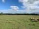 Photo - 6097 Mount Lindesay Hwy , Woodhill QLD 4285 - Image 1