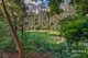 Photo - 61-63 Bellthorpe Range Road, Bellthorpe QLD 4514 - Image 6