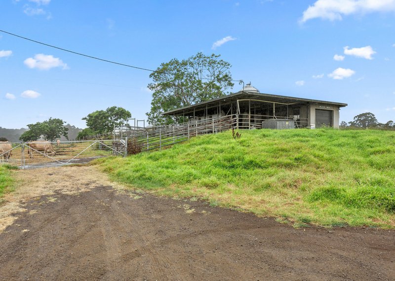 Photo - 61 & 63 Dyballs Lane, Taree NSW 2430 - Image 13