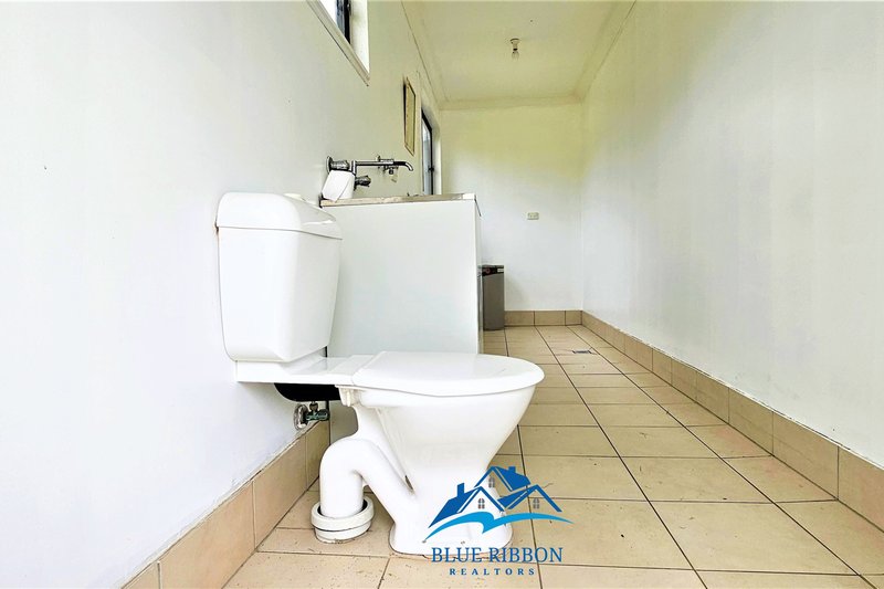 Photo - 61 Alice Street, Rosehill NSW 2142 - Image 19