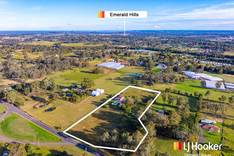 Photo - 61 Alma Road, Leppington NSW 2179 - Image 8