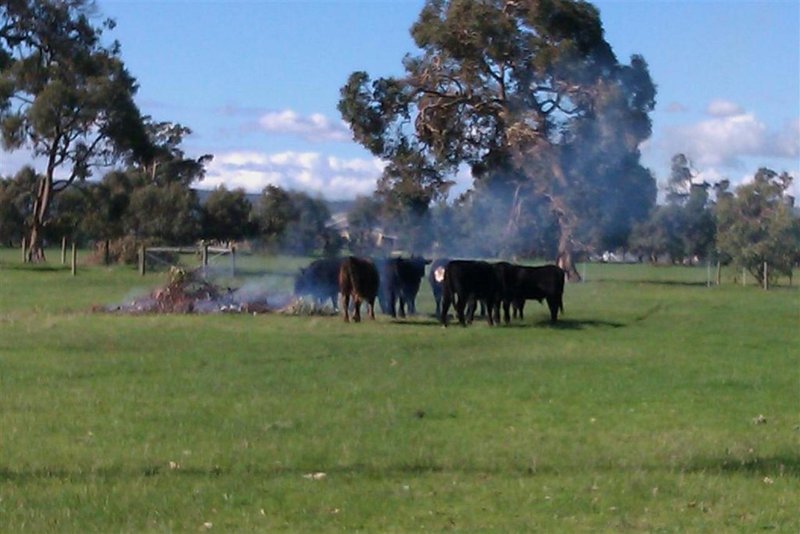 Photo - 61 Avoca Retreat, North Dandalup WA 6207 - Image 4