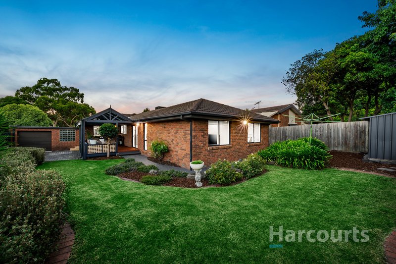 Photo - 61 Barmah Drive, Wantirna VIC 3152 - Image 11