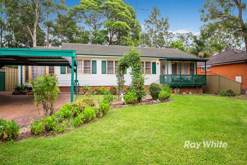 Photo - 61 Castle Street, Castle Hill NSW 2154 - Image 5