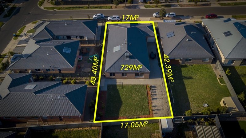 Photo - 61 Cloverdale Road, Tarneit VIC 3029 - Image 9