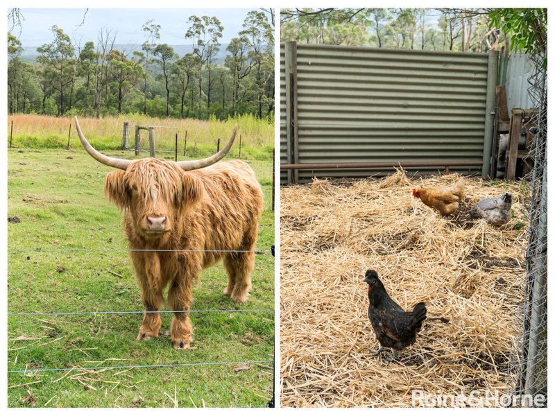 Photo - 61 Cornfield Parade, Fishermans Paradise NSW 2539 - Image 21