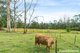 Photo - 61 Cornfield Parade, Fishermans Paradise NSW 2539 - Image 30