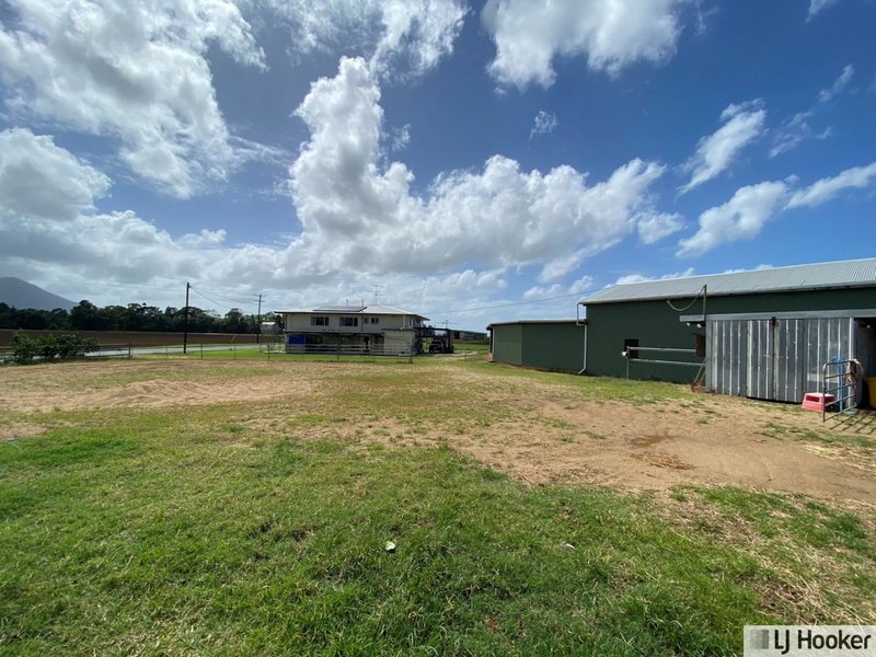 Photo - 61 Davidson Road, Euramo QLD 4854 - Image 21