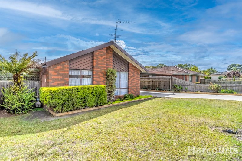 Photo - 61 Dinwoodie Drive, Newborough VIC 3825 - Image 3