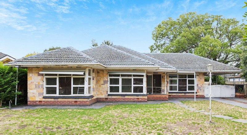 Photo - 61 Fulham Park Drive, Lockleys SA 5032 - Image 3