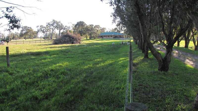 Photo - 61 (Lot 91) Avoca Retreat, North Dandalup WA 6207 - Image 5