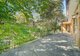Photo - 61 Mount William Street, Gordon NSW 2072 - Image 7