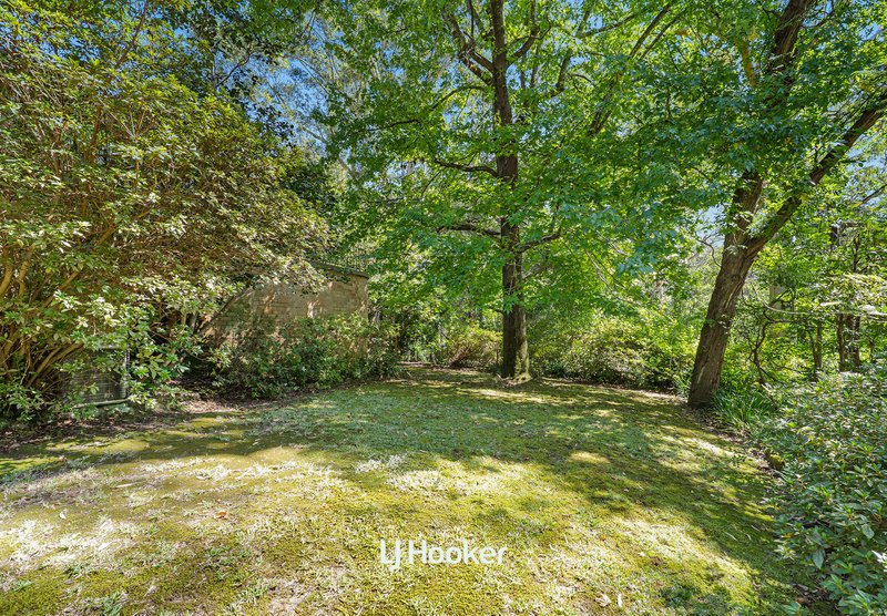 Photo - 61 Mount William Street, Gordon NSW 2072 - Image 8