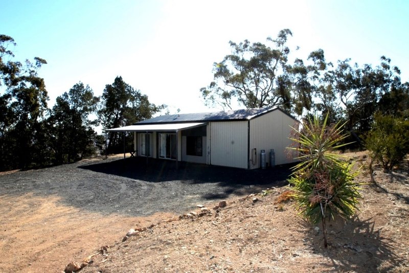 61 Ray Carter Drive, Quirindi NSW 2343