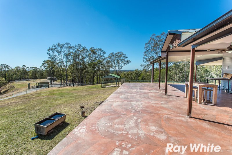 Photo - 61 Smiths Road North, Kurwongbah QLD 4503 - Image 9