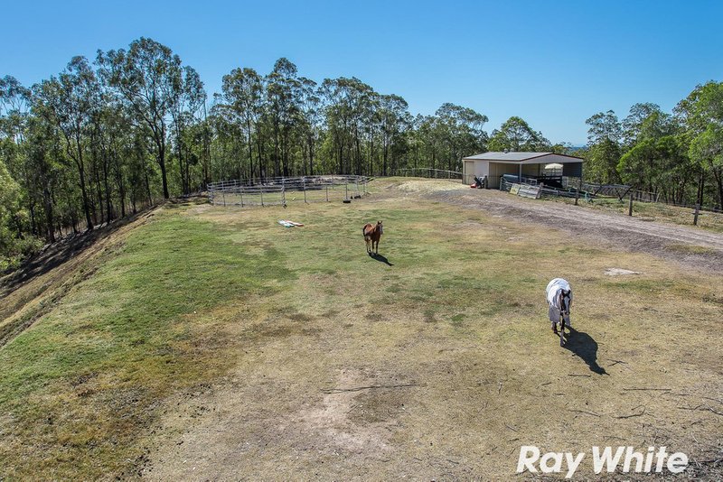 Photo - 61 Smiths Road North, Kurwongbah QLD 4503 - Image 12