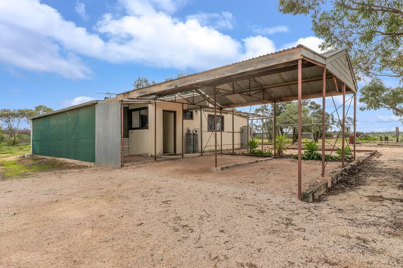 Photo - 61 Swan Street, Renmark SA 5341 - Image 4
