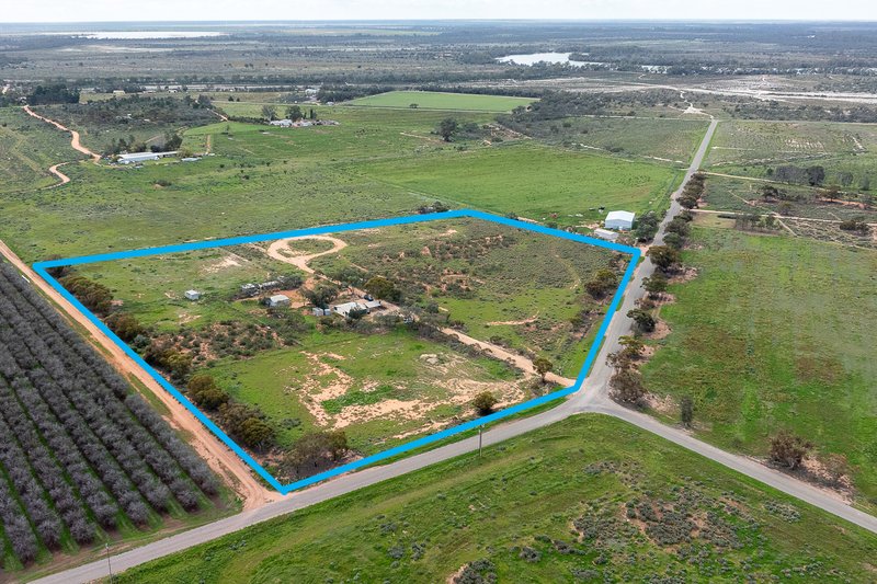 Photo - 61 Swan Street, Renmark SA 5341 - Image 14