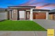 Photo - 61 Truncata Drive, Tarneit VIC 3029 - Image 1