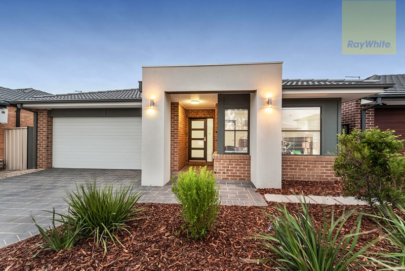 61 Wattletree Street, Craigieburn VIC 3064