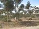 Photo - 61 Westbrook Road, Tailem Bend SA 5260 - Image 23