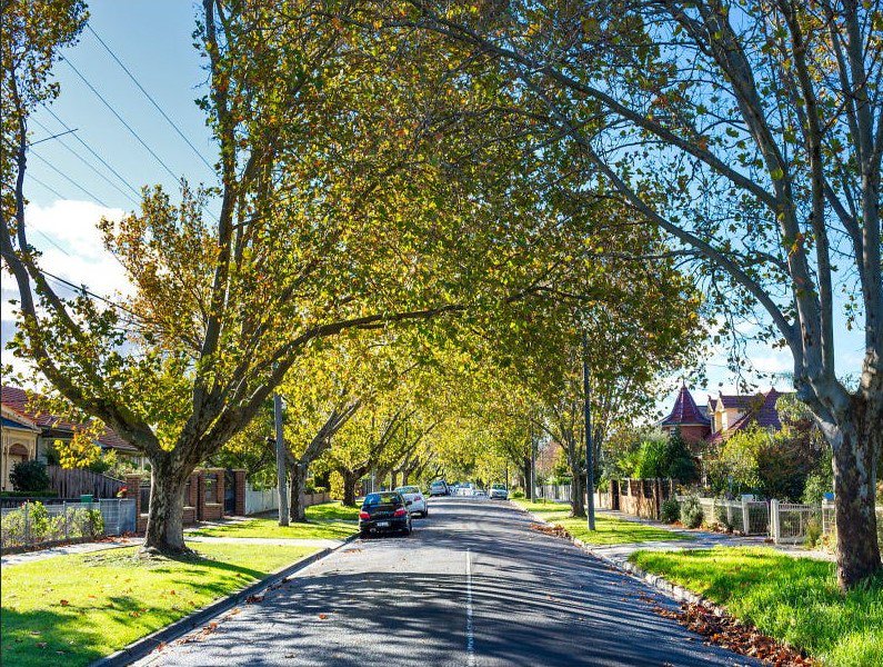 Photo - 6/100 Fulham Road, Alphington VIC 3078 - Image 10