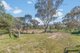 Photo - 611 Freemantle Road, Mount Rankin NSW 2795 - Image 24