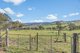 Photo - 611 Freemantle Road, Mount Rankin NSW 2795 - Image 26