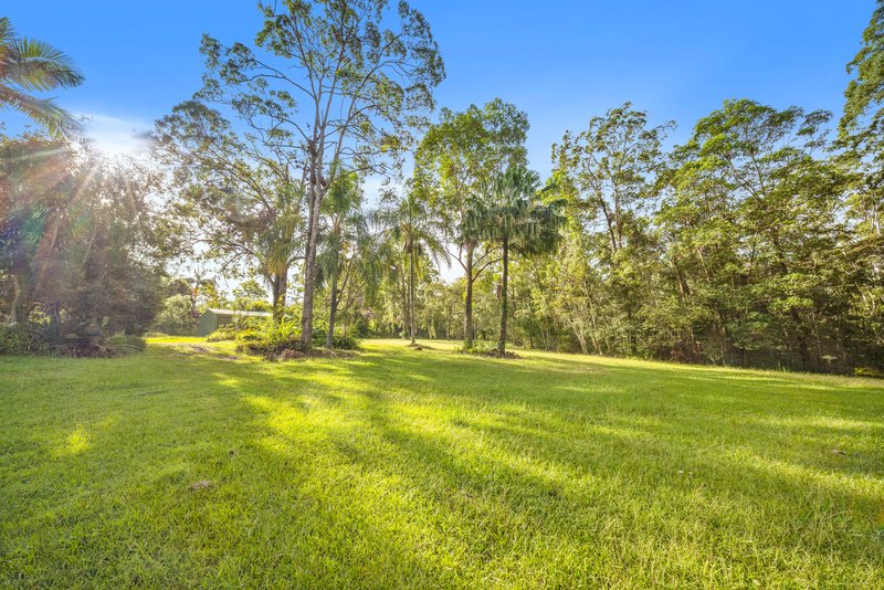 Photo - 612 Louis Bazzo Drive, Ringtail Creek QLD 4565 - Image 2