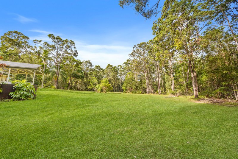 Photo - 612 Louis Bazzo Drive, Ringtail Creek QLD 4565 - Image 3