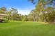 Photo - 612 Louis Bazzo Drive, Ringtail Creek QLD 4565 - Image 3