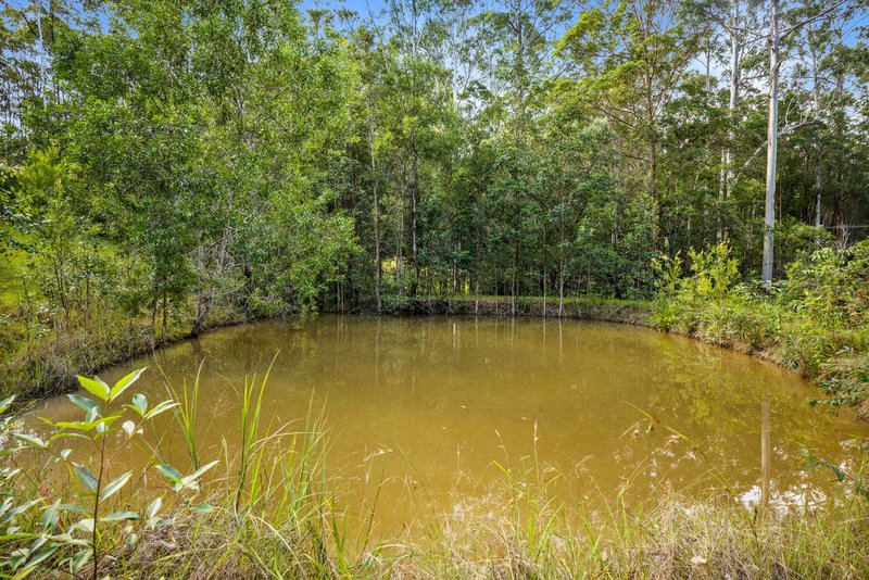 Photo - 612 Louis Bazzo Drive, Ringtail Creek QLD 4565 - Image 5
