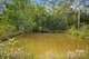 Photo - 612 Louis Bazzo Drive, Ringtail Creek QLD 4565 - Image 5