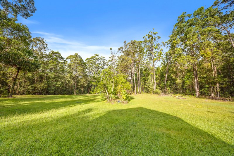 Photo - 612 Louis Bazzo Drive, Ringtail Creek QLD 4565 - Image 18