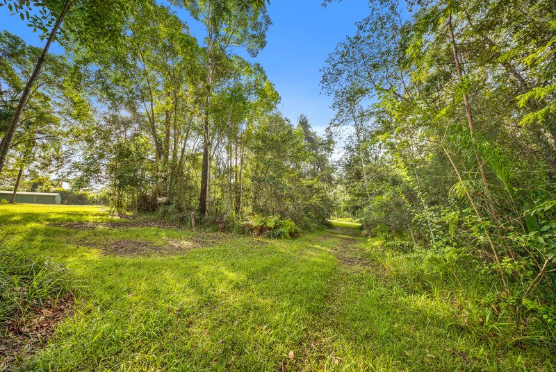 Photo - 612 Louis Bazzo Drive, Ringtail Creek QLD 4565 - Image 19