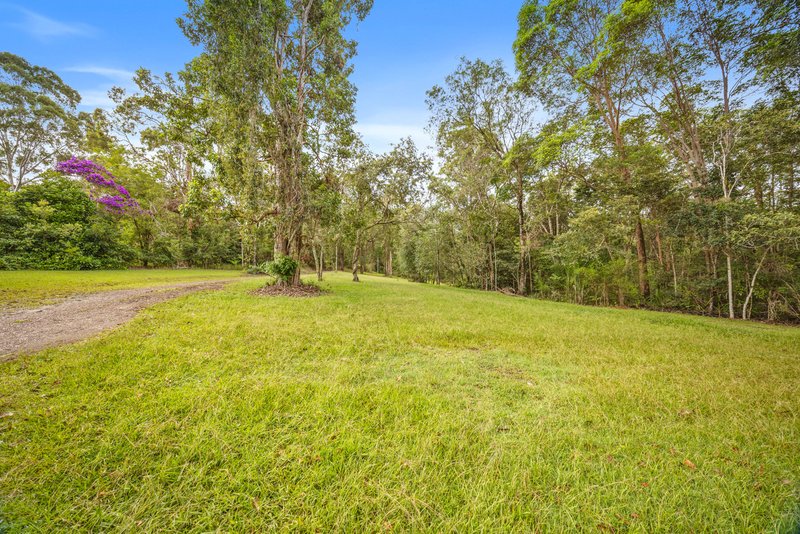 Photo - 612 Louis Bazzo Drive, Ringtail Creek QLD 4565 - Image 20