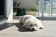 Photo - 6/1263 Gold Coast Highway, Palm Beach QLD 4221 - Image 12