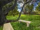 Photo - 6128 Frankford Road, Wesley Vale TAS 7307 - Image 25